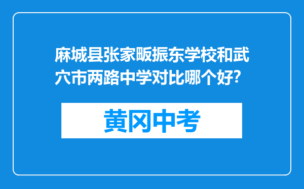 麻城县张家畈振东学校和武穴市两路中学对比哪个好？