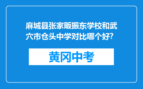 麻城县张家畈振东学校和武穴市仓头中学对比哪个好？