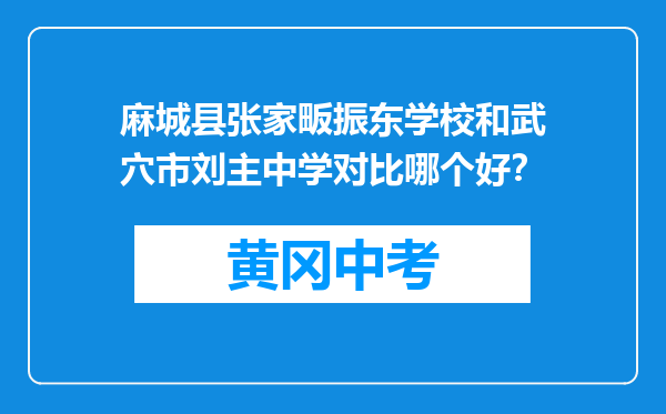 麻城县张家畈振东学校和武穴市刘主中学对比哪个好？