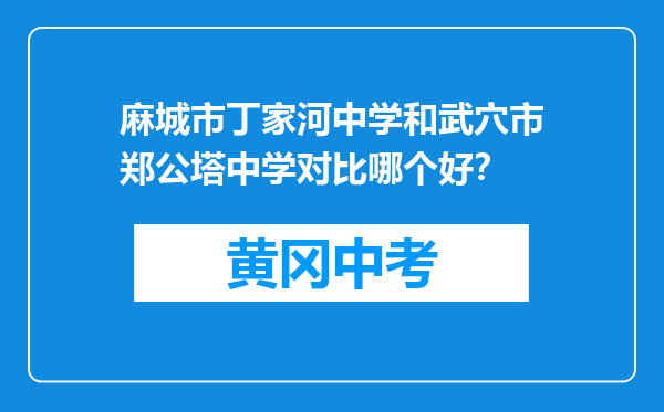 麻城市丁家河中学和武穴市郑公塔中学对比哪个好？