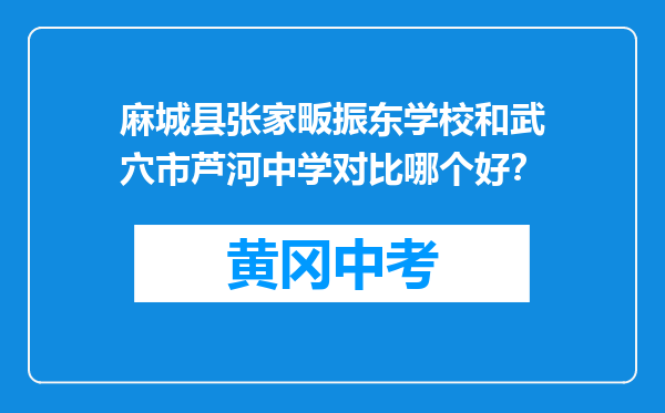 麻城县张家畈振东学校和武穴市芦河中学对比哪个好？