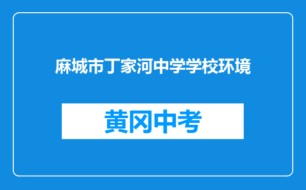 麻城市丁家河中学学校环境