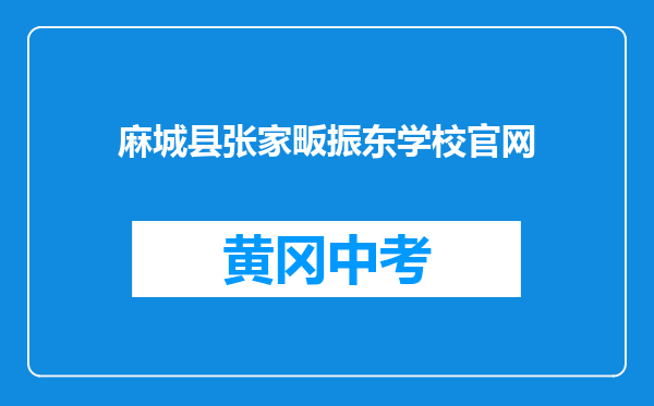麻城县张家畈振东学校官网