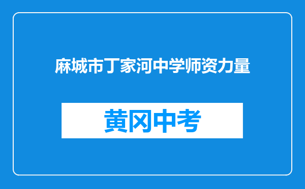 麻城市丁家河中学师资力量