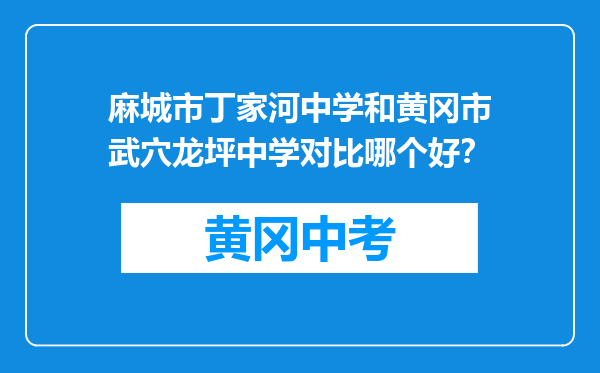麻城市丁家河中学和黄冈市武穴龙坪中学对比哪个好？