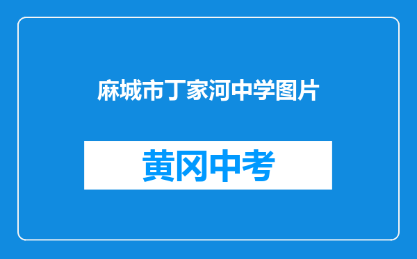 麻城市丁家河中学图片