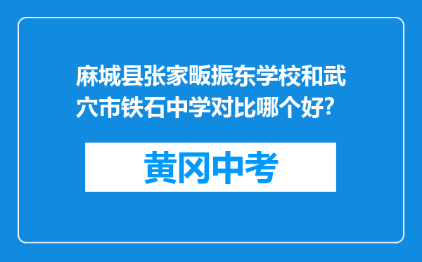 麻城县张家畈振东学校和武穴市铁石中学对比哪个好？