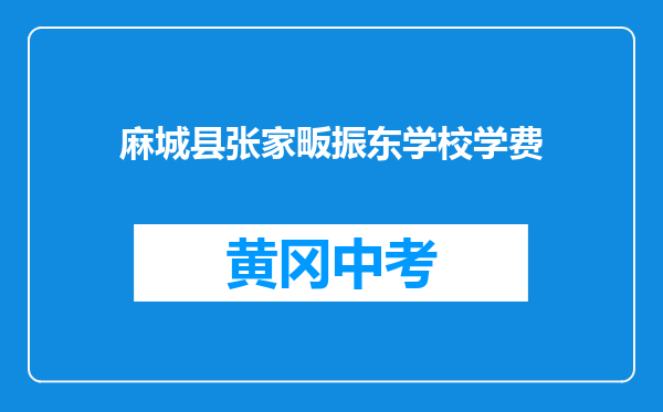 麻城县张家畈振东学校学费