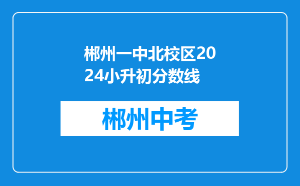 郴州一中北校区2024小升初分数线