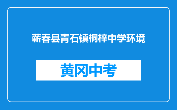 蕲春县青石镇桐梓中学环境
