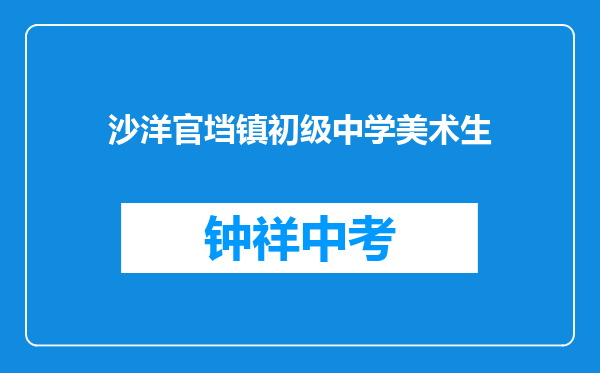 沙洋官垱镇初级中学美术生