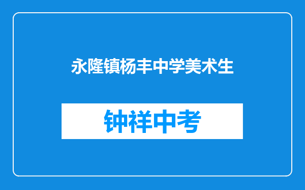 永隆镇杨丰中学美术生