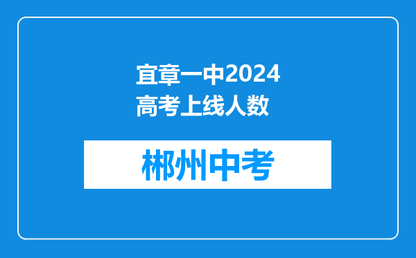 宜章一中2024高考上线人数