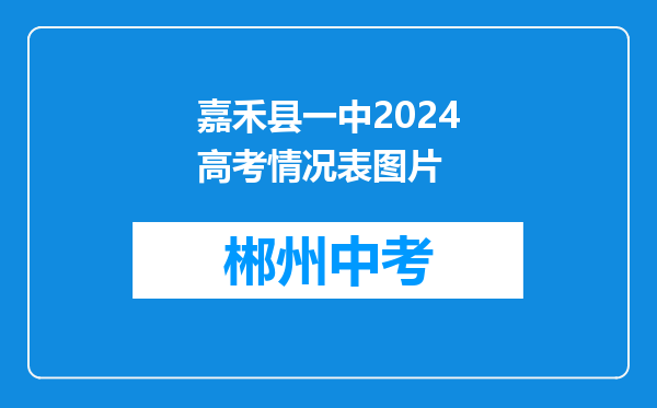 嘉禾县一中2024高考情况表图片