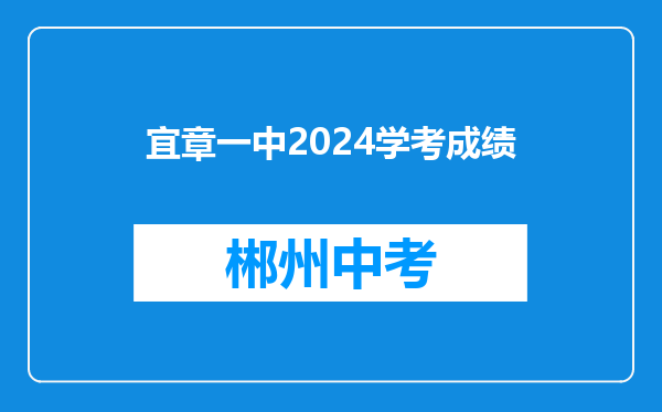 宜章一中2024学考成绩