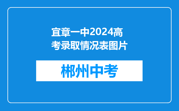 宜章一中2024高考录取情况表图片