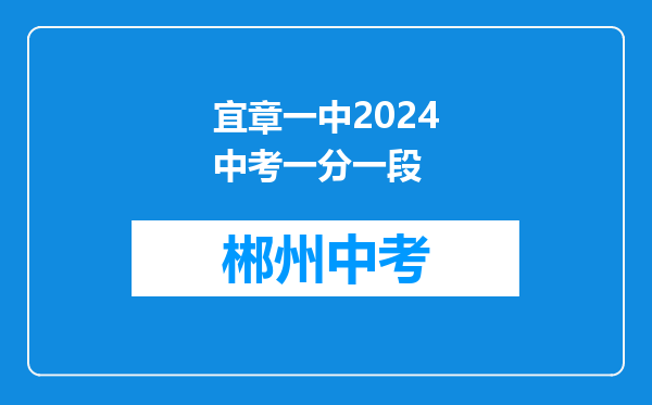 宜章一中2024中考一分一段