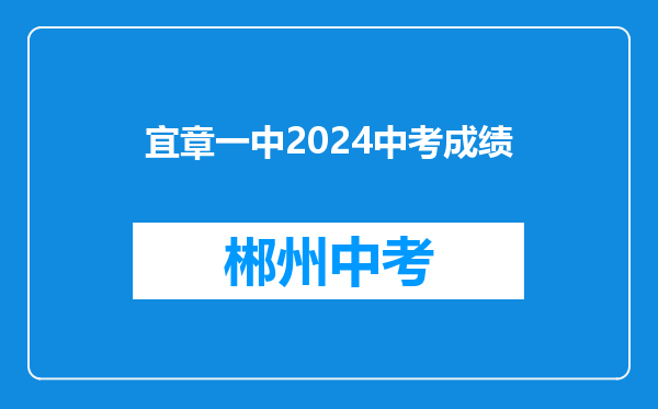 宜章一中2024中考成绩
