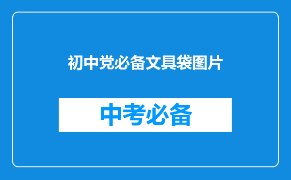 初中党必备文具袋图片