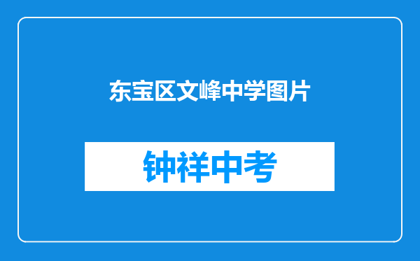东宝区文峰中学图片