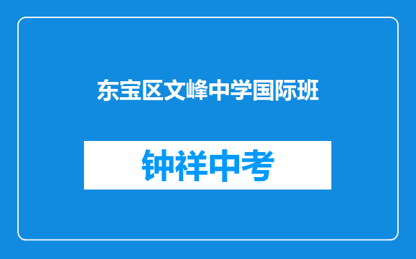 东宝区文峰中学国际班