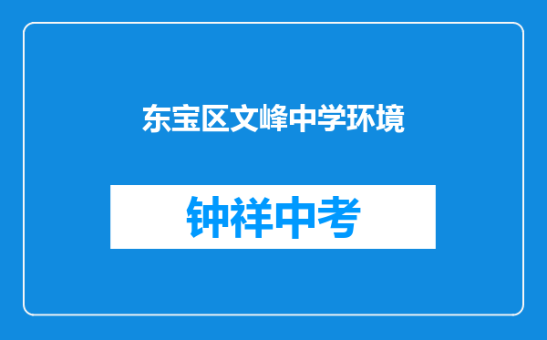 东宝区文峰中学环境