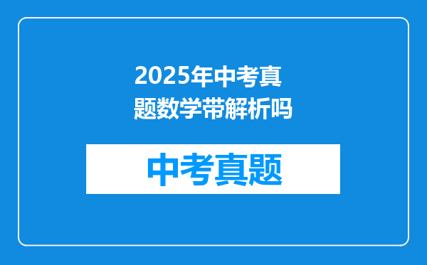 2025年中考真题数学带解析吗