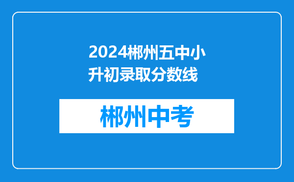 2024郴州五中小升初录取分数线