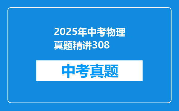 2025年中考物理真题精讲308