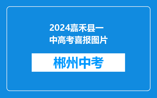 2024嘉禾县一中高考喜报图片