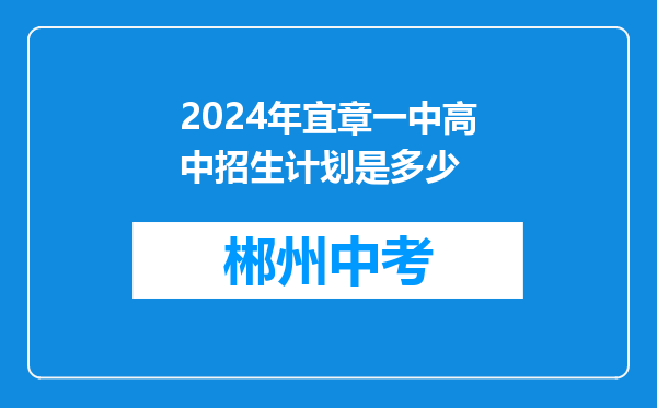 2024年宜章一中高中招生计划是多少