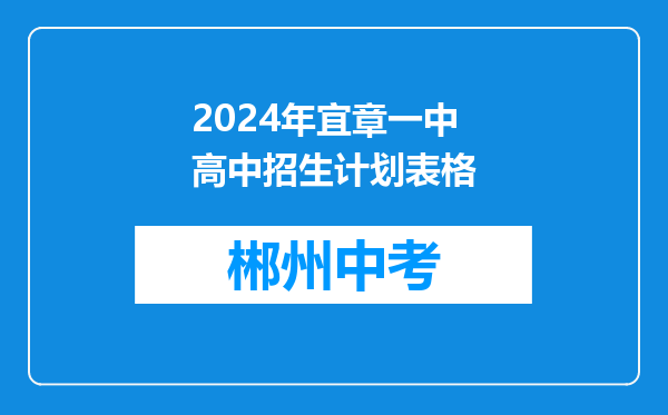 2024年宜章一中高中招生计划表格