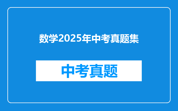 数学2025年中考真题集