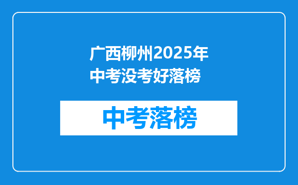 广西柳州2025年中考没考好落榜