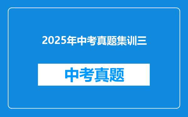 2025年中考真题集训三