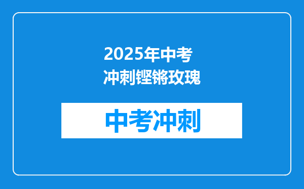 2025年中考冲刺铿锵玫瑰