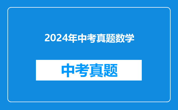2024年中考真题数学