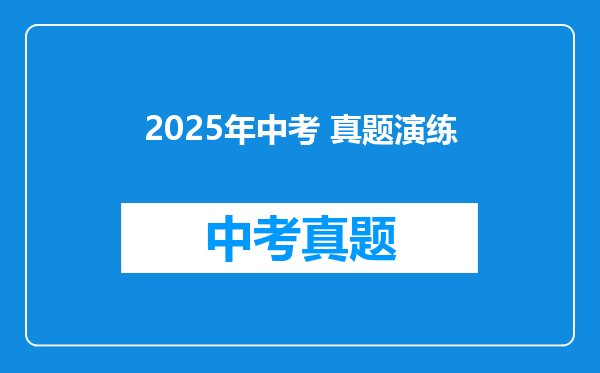 2025年中考 真题演练