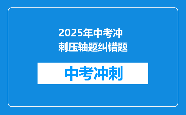 2025年中考冲刺压轴题纠错题