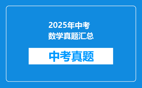 2025年中考数学真题汇总