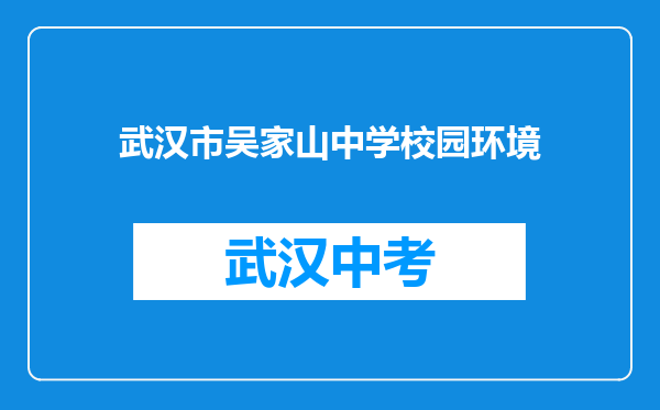 武汉市吴家山中学校园环境