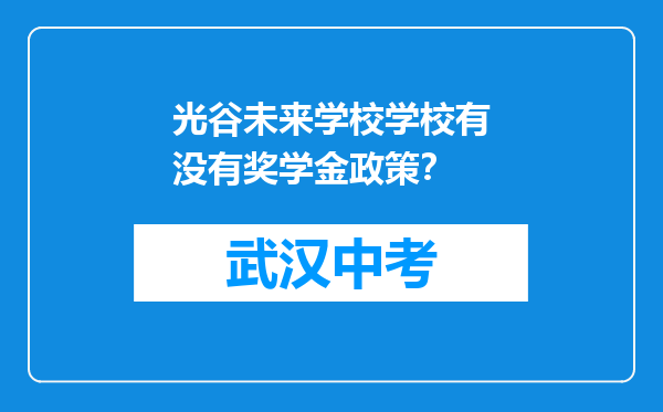 光谷未来学校学校有没有奖学金政策？