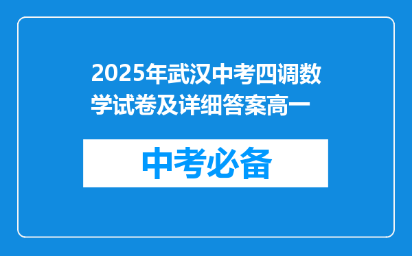 2025年武汉中考四调数学试卷及详细答案高一
