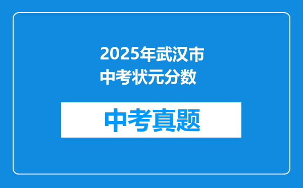 2025年武汉市中考状元分数