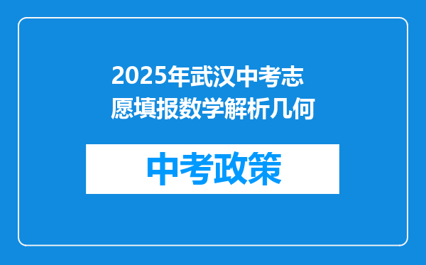 2025年武汉中考志愿填报数学解析几何