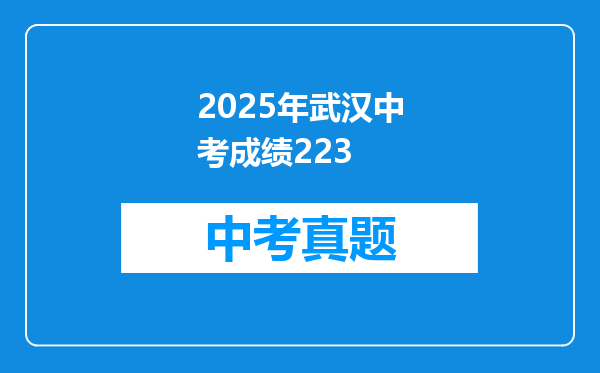 2025年武汉中考成绩223