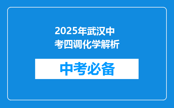 2025年武汉中考四调化学解析