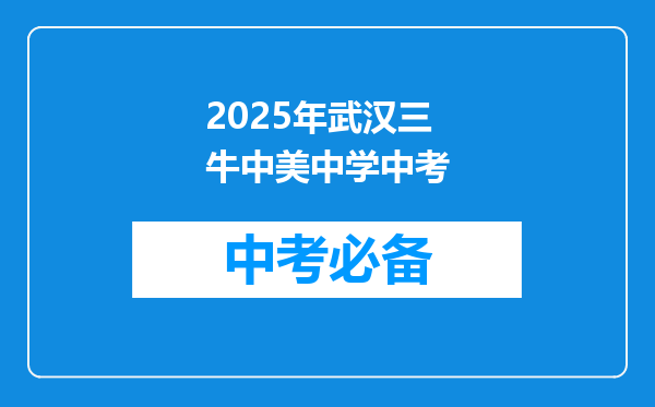 2025年武汉三牛中美中学中考