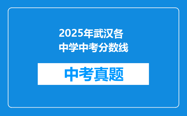 2025年武汉各中学中考分数线
