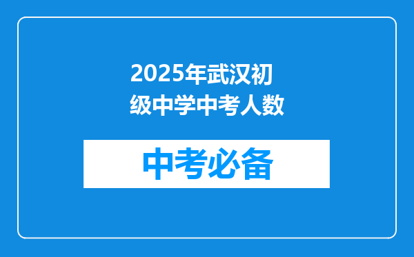 2025年武汉初级中学中考人数